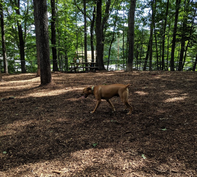 sanford-dog-park-photo